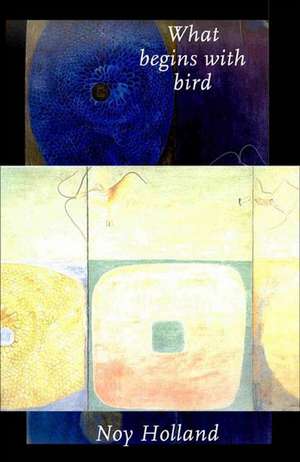 What Begins with Bird: Fictions de Flournoy Holland