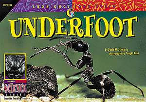 Underfoot de David M. Schwartz