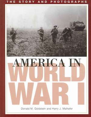 America in World War I: The Story and Photographs de Donald M. Goldstein