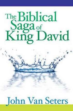 The Biblical Saga of King David de John Van Seters