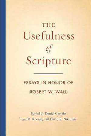 The Usefulness of Scripture – Essays in Honor of Robert W. Wall de Daniel Castelo