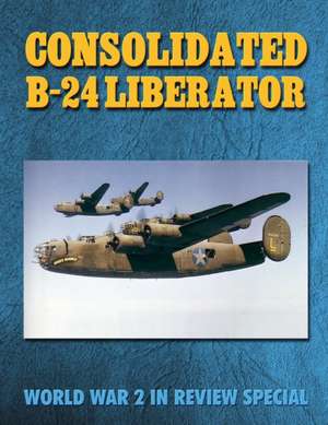 Consolidated B-24 Liberator de Ray Merriam