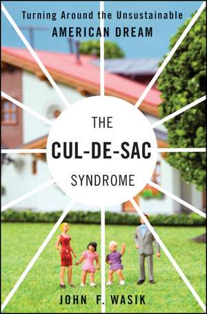 The Cul–de–Sac Syndrome – Turning Around the Unsustainable American Dream de JF Wasik