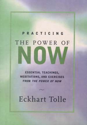 Practicing the Power of Now de Eckhart Tolle