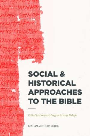 Social & Historical Approaches to the Bible de Douglas Mangum