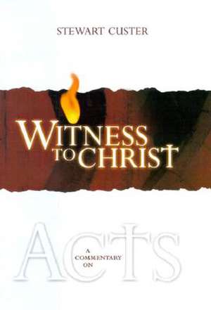 Witness to Christ: A Commentary on Acts de Stewart Custer