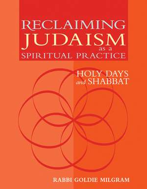 Reclaiming Judaism as a Spiritual Practice: Holy Days and Shabbat de Goldie Milgram