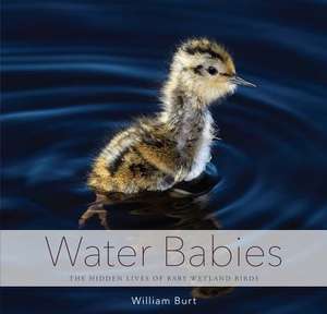 Water Babies – The Hidden Lives of Baby Wetland Birds de William Burt