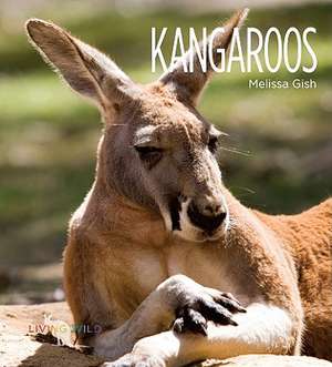 Kangaroos de Melissa Gish