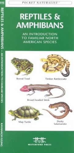 Reptiles & Amphibians: An Introduction to Familiar North American Species de James Kavanagh