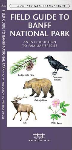 Field Guide to Banff National Park de James Kavanagh