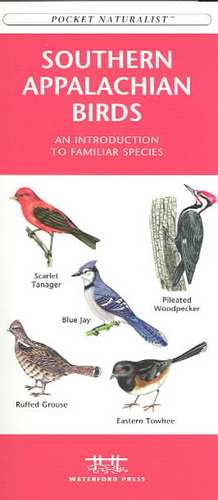 Southern Appalachian Birds: An Introduction to Familliar Species de James Kavanagh