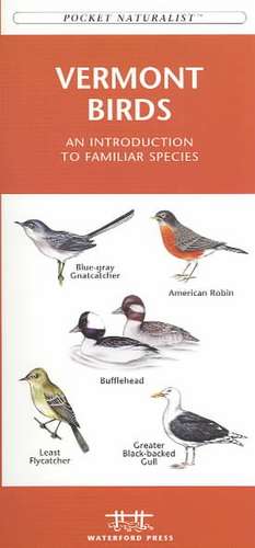 Vermont Birds: An Introduction to Familiar Species de James Kavanagh