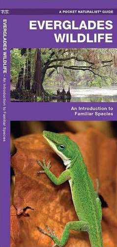 Everglades Wildlife: A Folding Pocket Guide to Familiar Species de James Kavanagh