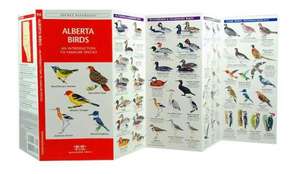 Alberta Birds: A Folding Pocket Guide to Familiar Species de James Kavanagh