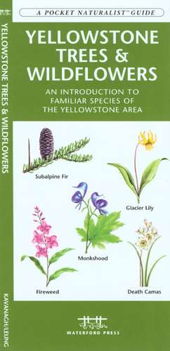 Yellowstone Trees & Wildflowers: An Introduction to Familiar Species of the Yellowstone Area de James Kavanagh