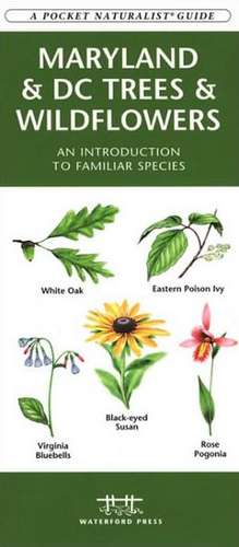 Maryland & DC Trees & Wildflowers: An Introduction to Familiar Species de James Kavanagh