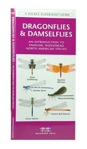 Dragonflies & Damselflies: An Introduction to Familiar, Widespread North American Species de James Kavanagh