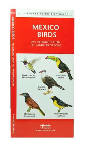 Mexico Birds: A Folding Pocket Guide to Familiar Species de James Kavanagh