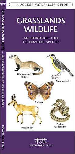 Grasslands Wildlife: An Introduction to Familiar Species Found in Prairie Grasslands de James Kavanagh