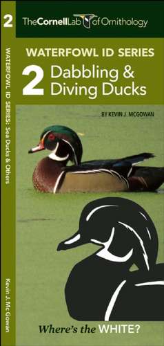 Cornell Lab of Ornithology Waterfowl Id: #2 Dabbling Ducks & Diving Ducks de Kevin McGowan