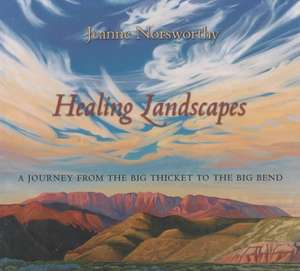 Healing Landscapes of Texas: A Journey from the Big Thicket to Big Bend de Jeanne Norsworthy