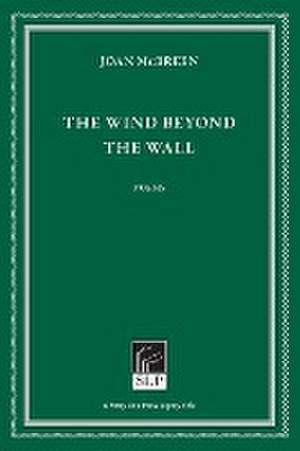 Wind Beyond the Wall de Joan McBreen