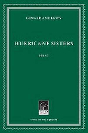 Hurricane Sisters de Ginger Andrews