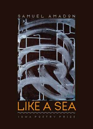 Like a Sea de Samuel Amadon