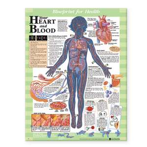 Blueprint for Health Your Heart and Blood Chart de Anatomical Chart Company