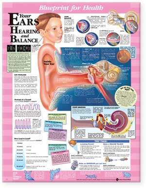 Blueprint for Health Your Ears Chart de Anatomical Chart Company