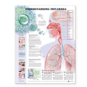 Understanding Influenza de Anatomical Chart Company