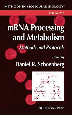 mRNA Processing and Metabolism: Methods and Protocols de Daniel R. Schoenberg