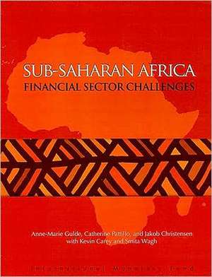 Sub-saharan Africa: Financial Sector Challenges de Catherine A. Pattillo