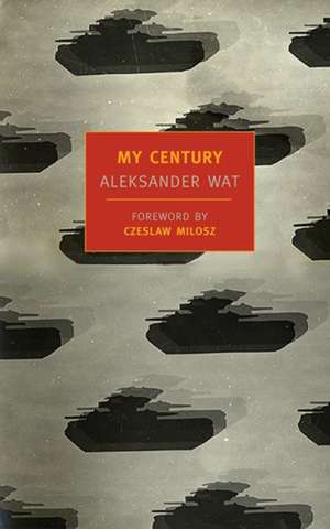 My Century: A Collection of Favorite Stories about Jenny Linsky de Aleksander Wat