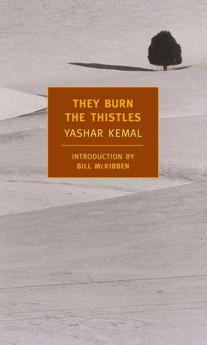 They Burn the Thistles de Yashar Kemal