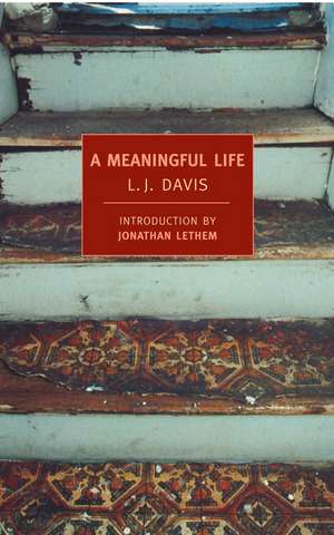 A Meaningful Life de L. J. Davis