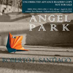 Angel Park de Robert F. Santiago