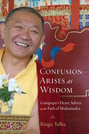 Confusion Arises as Wisdom de Ringu Tulku Rinpoche