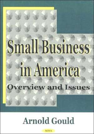 Small Business in America de Arnold Goul