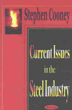 Current Issues in the Steel Industry de Stephen Cooney