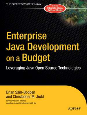 Enterprise Java Development on a Budget: Leveraging Java Open Source Technologies de Brian Sam-Bodden