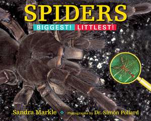 Spiders: Biggest! Littlest! de Sandra Markle