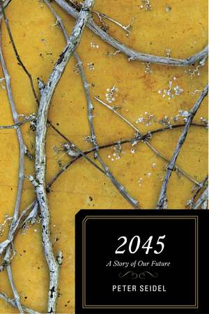 2045: A Story of Our Future de Peter Seidel