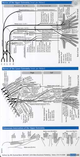 Neurology Pocketcard Set de Sebastian Stuckrad-Barre