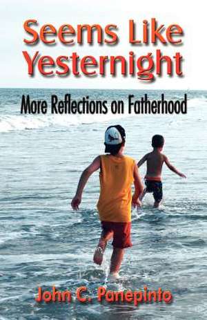 Seems Like Yesternight: More Reflections on Fatherhood de John C. Panepinto