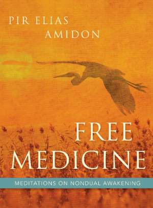 Free Medicine: Meditations on Nondual Awakening de Elias Amidon