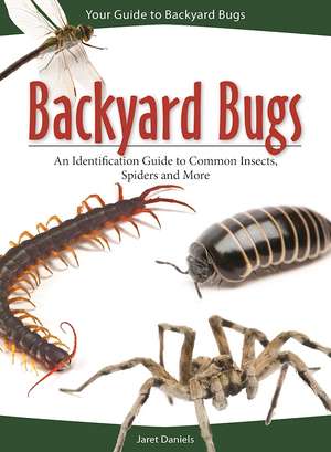 Backyard Bugs: An Identification Guide to Common Insects, Spiders and More de Jaret C. Daniels