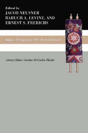 Judaic Perspectives on Ancient Israel de Baruch A. Levine