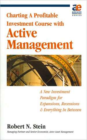 Active Management: Profitable Strategies for Today's Investment Climate de Robert N. Stein